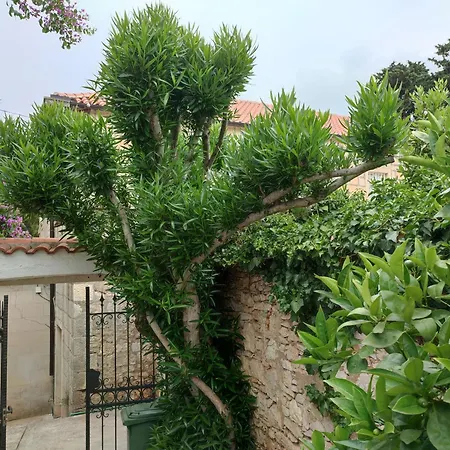 Rustika סוטיבאן